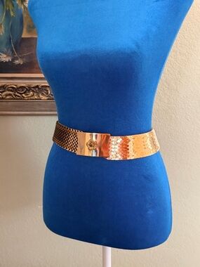 Gold Metal Scale Belt with Decorative Clasp